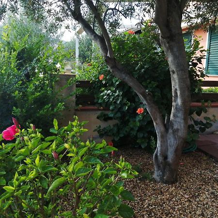 La Casa Nel Borgo Villa Chia Eksteriør billede